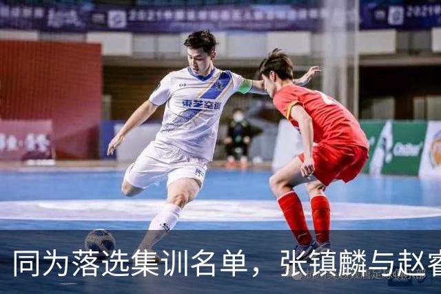 同为落选集训名单，张镇麟与赵睿的境遇差异何在？